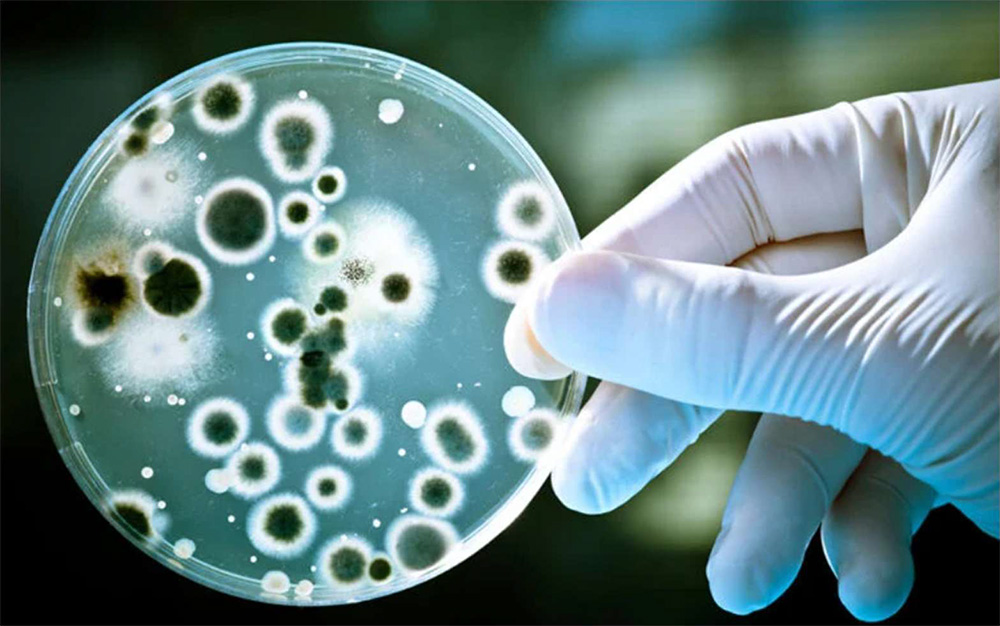 Should thermal wheels be used in healthcare?